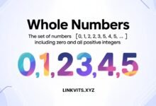 Whole Numbers Definition