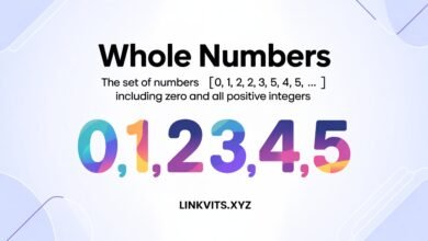 Whole Numbers Definition