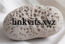 Pumice Stone