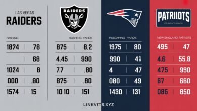 Las Vegas Raiders vs New England Patriots Match Player Stats