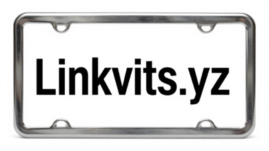 License Plate Frames