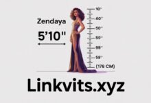 Zendaya Height