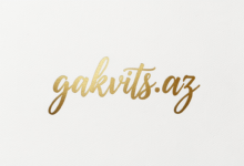 gauche meaning