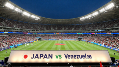 japan vs venezuela wbc